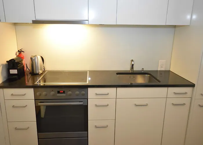 1br Flat In Historical Center - Symbol 3